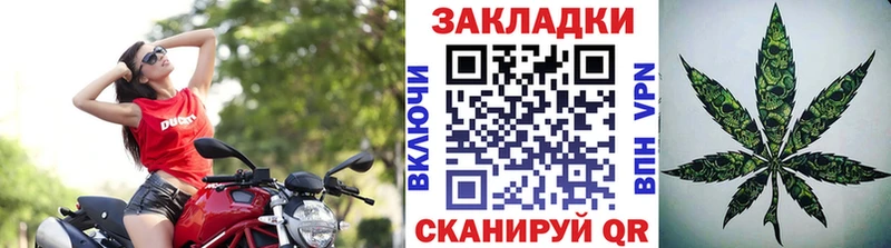 Бошки Шишки Белоозёрский