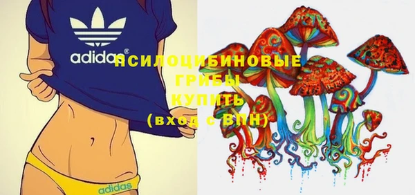 гидропоника Абаза
