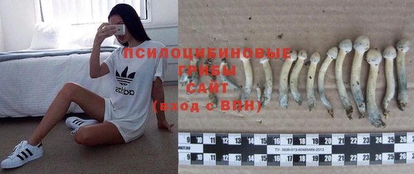мескалин Новосибирск